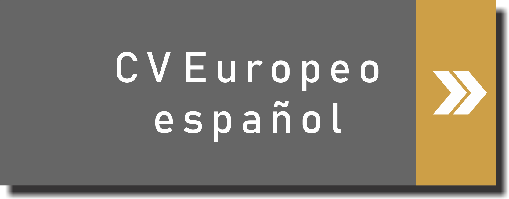 CV Europeo español