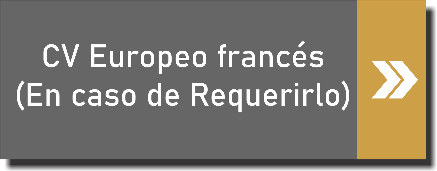 CV Europeo frances